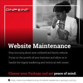 Website Maintenance – Basic Package